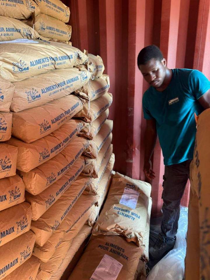 Empotage et dépotage de conteneur Guadeloupe