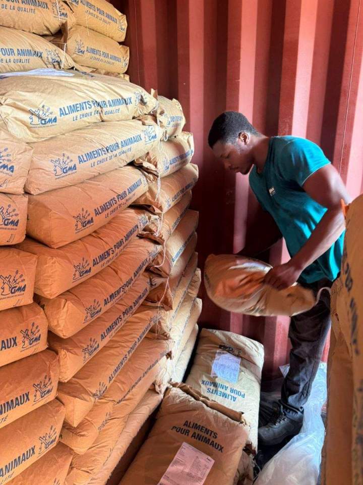 Transport et déménagement en conteneur Guadeloupe