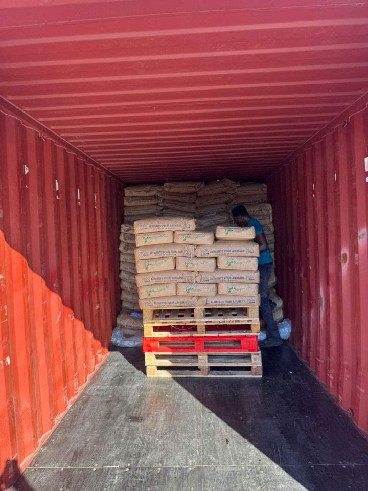 Empotage et dépotage de conteneur Guadeloupe