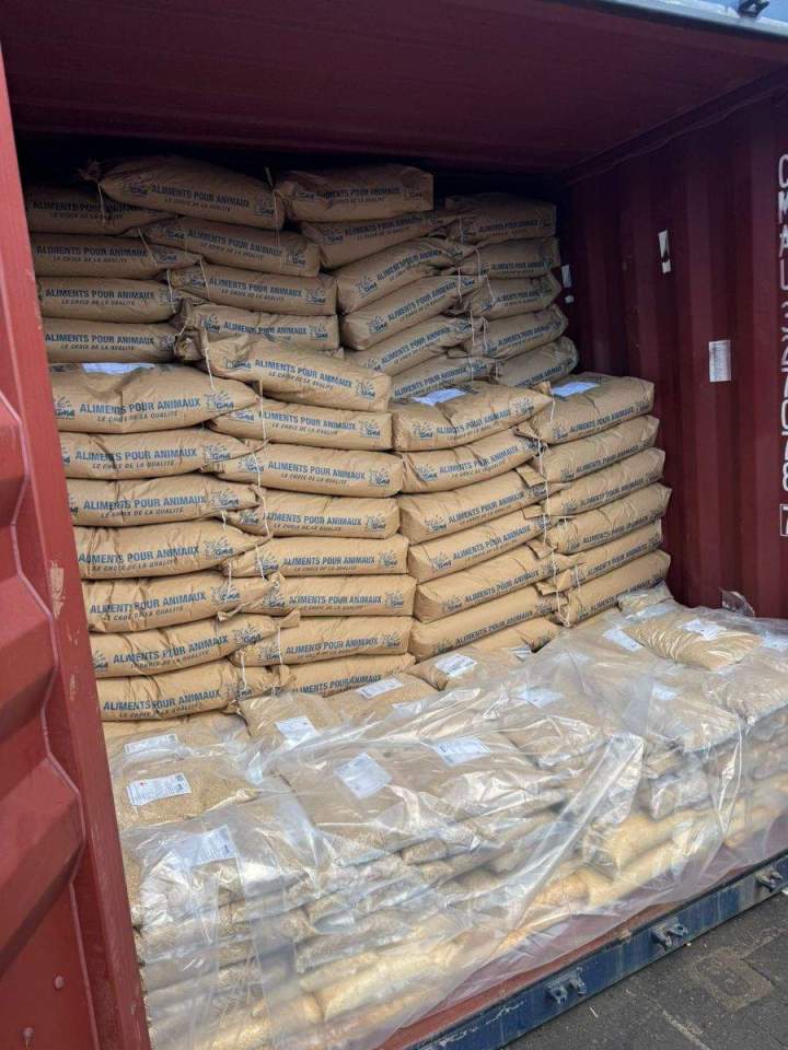 Empotage et dépotage de conteneur Guadeloupe